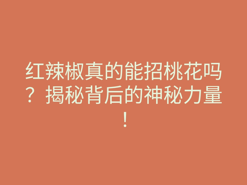 红辣椒真的能招桃花吗?揭秘背后的神秘力量!