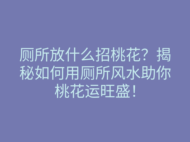 厕所放什么招桃花?揭秘如何用厕所风水助你桃花运旺盛!
