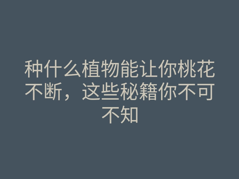 种什么植物能让你桃花不断,这些秘籍你不可不知