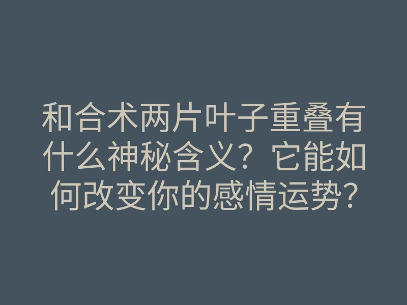 和合术两片叶子重叠有什么神秘含义?它能如何改变你的感情运势?