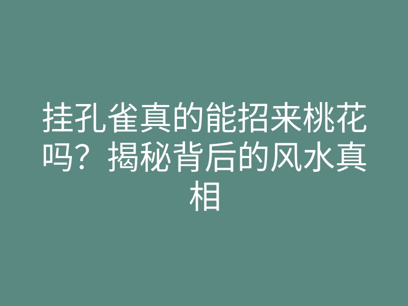 挂孔雀真的能招来桃花吗?揭秘背后的风水真相
