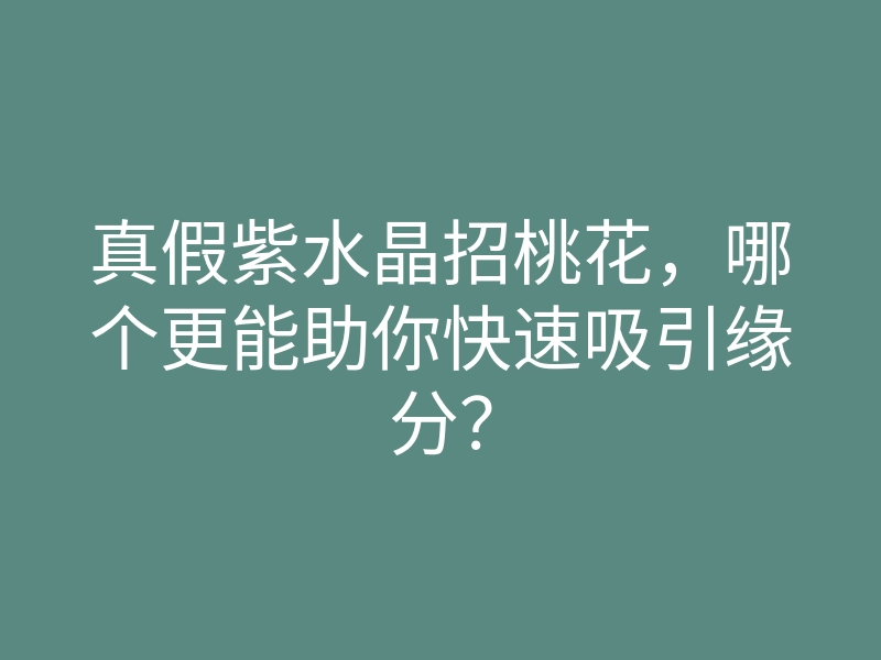 真假紫水晶招桃花,哪个更能助你快速吸引缘分?