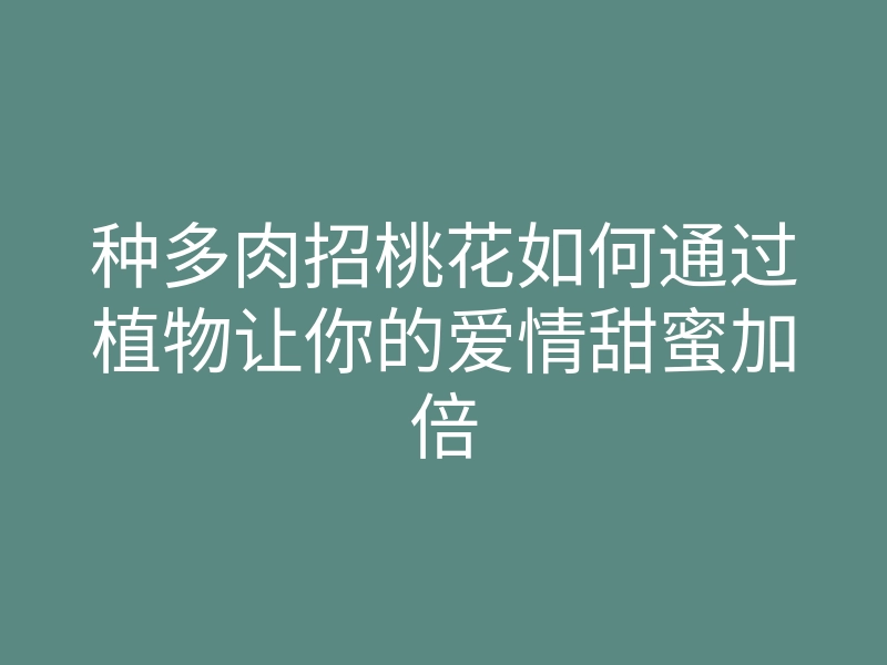 种多肉招桃花如何通过植物让你的爱情甜蜜加倍