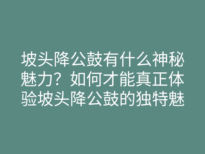 坡头降公鼓有什么神秘魅力?如何才能真正体验坡头降公鼓的独特魅力与乐趣