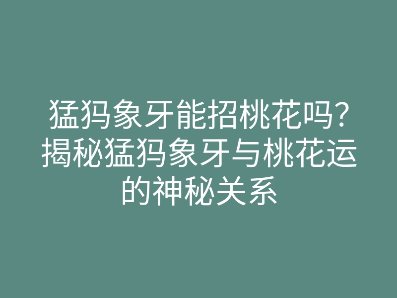 猛犸象牙能招桃花吗?揭秘猛犸象牙与桃花运的神秘关系