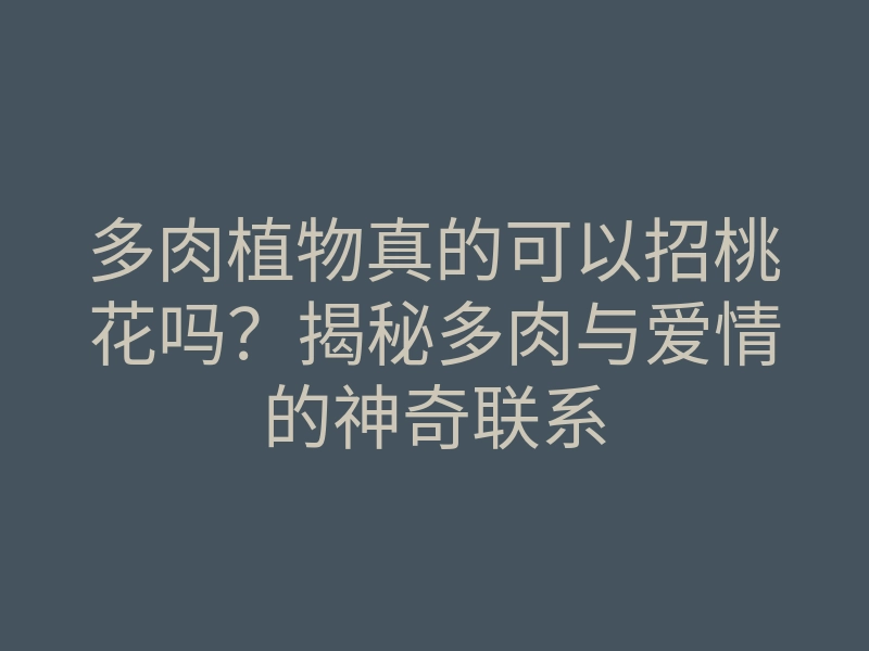 多肉植物真的可以招桃花吗?揭秘多肉与爱情的神奇联系