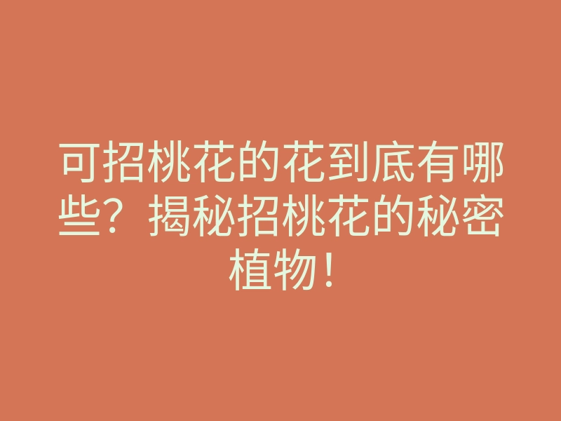 可招桃花的花到底有哪些?揭秘招桃花的秘密植物!