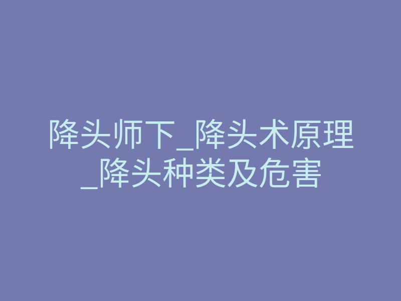 降头师下_降头术原理_降头种类及危害
