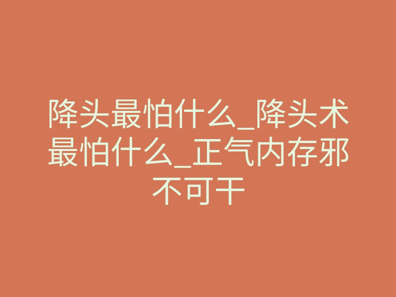 降头最怕什么_降头术最怕什么_正气内存邪不可干