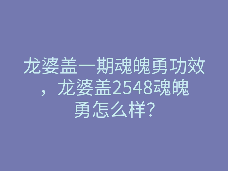 龙婆盖一期魂魄勇功效,龙婆盖2548魂魄勇怎么样?