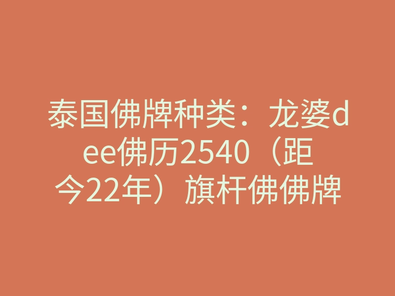 泰国佛牌种类:龙婆dee佛历2540(距今22年)旗杆佛佛牌