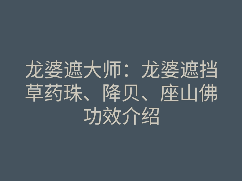 龙婆遮大师:龙婆遮挡草药珠、降贝、座山佛功效介绍