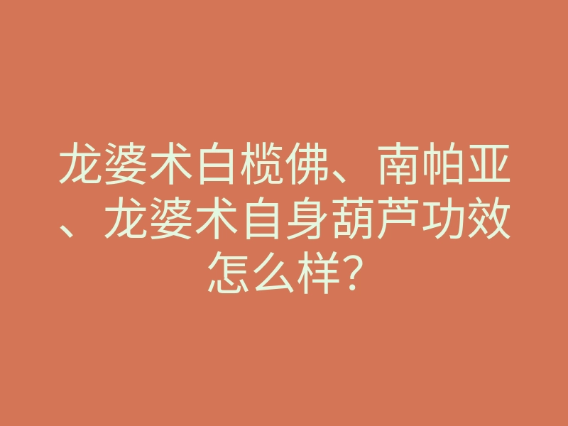 龙婆术白榄佛、南帕亚、龙婆术自身葫芦功效怎么样?