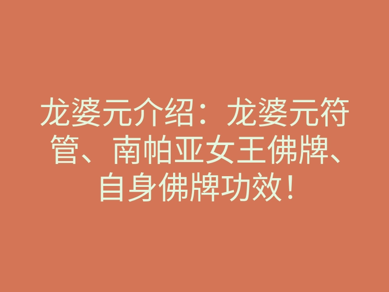 龙婆元介绍:龙婆元符管、南帕亚女王佛牌、自身佛牌功效!
