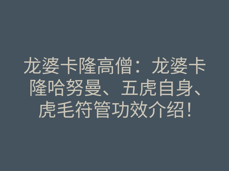 龙婆卡隆高僧:龙婆卡隆哈努曼、五虎自身、虎毛符管功效介绍!