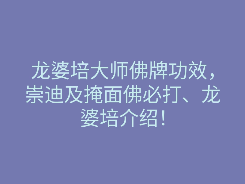 龙婆培大师佛牌功效,崇迪及掩面佛必打、龙婆培介绍!