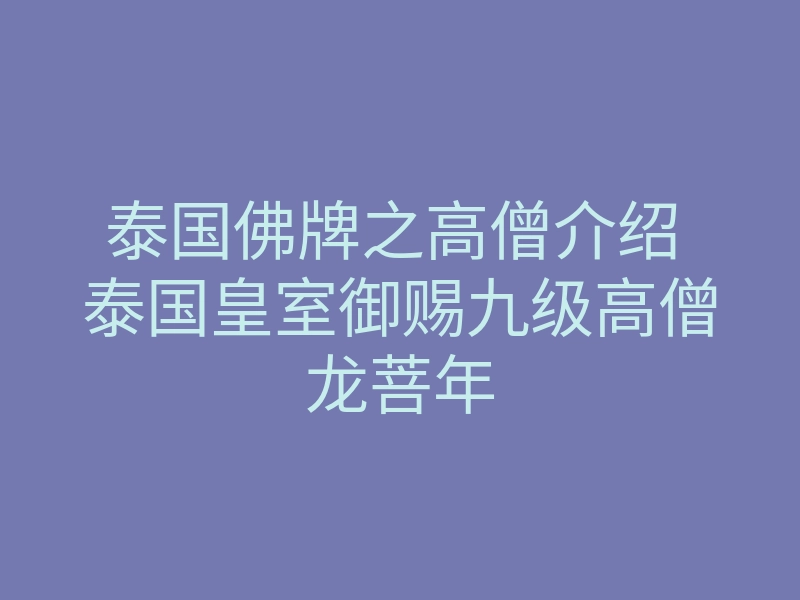 泰国佛牌之高僧介绍 泰国皇室御赐九级高僧龙菩年