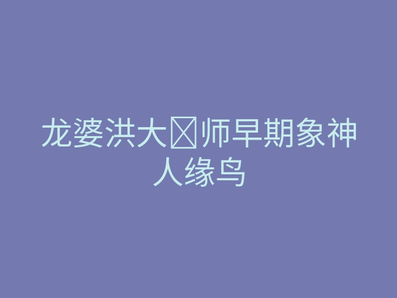 龙婆洪大师早期象神人缘鸟