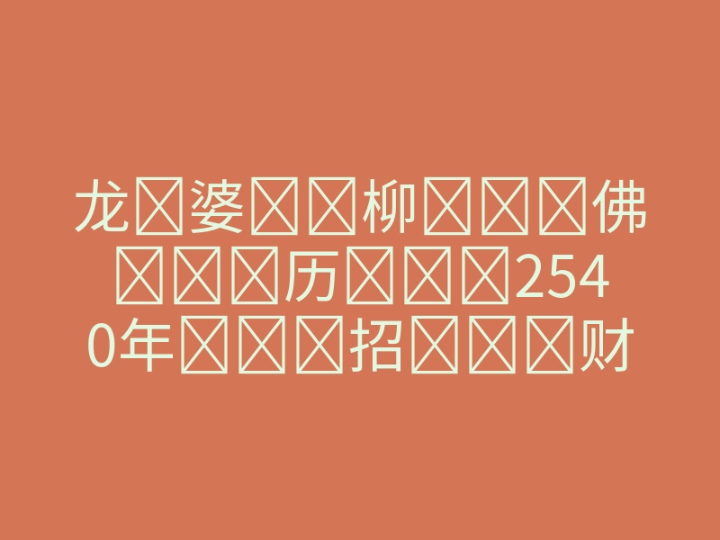 龙婆柳佛历2540年招财银龟