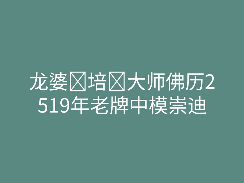 龙婆培大师佛历2519年老牌中模崇迪