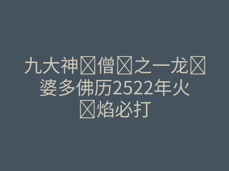 九大神僧之一龙婆多佛历2522年火焰必打