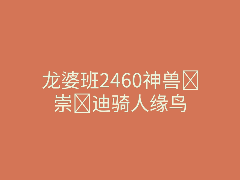 龙婆班2460神兽崇迪骑人缘鸟
