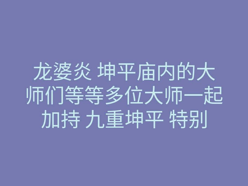 龙婆炎 坤平庙内的大师们等等多位大师一起加持 九重坤平 特别彩绘版