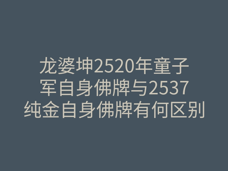 龙婆坤2520年童子军自身佛牌与2537纯金自身佛牌有何区别?