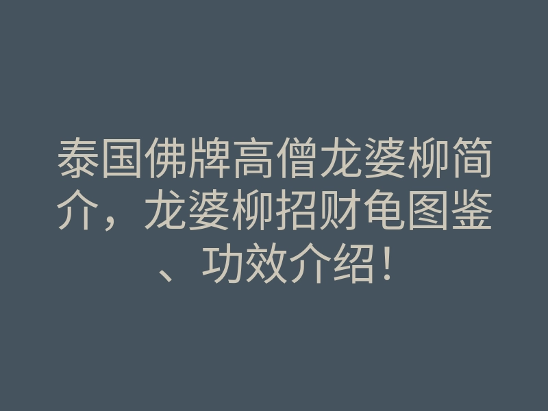 泰国佛牌高僧龙婆柳简介,龙婆柳招财龟图鉴、功效介绍!