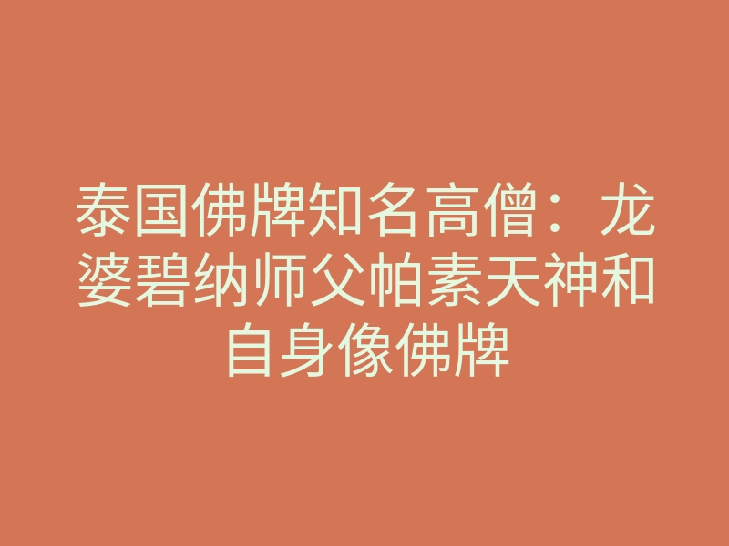 泰国佛牌知名高僧:龙婆碧纳师父帕素天神和自身像佛牌