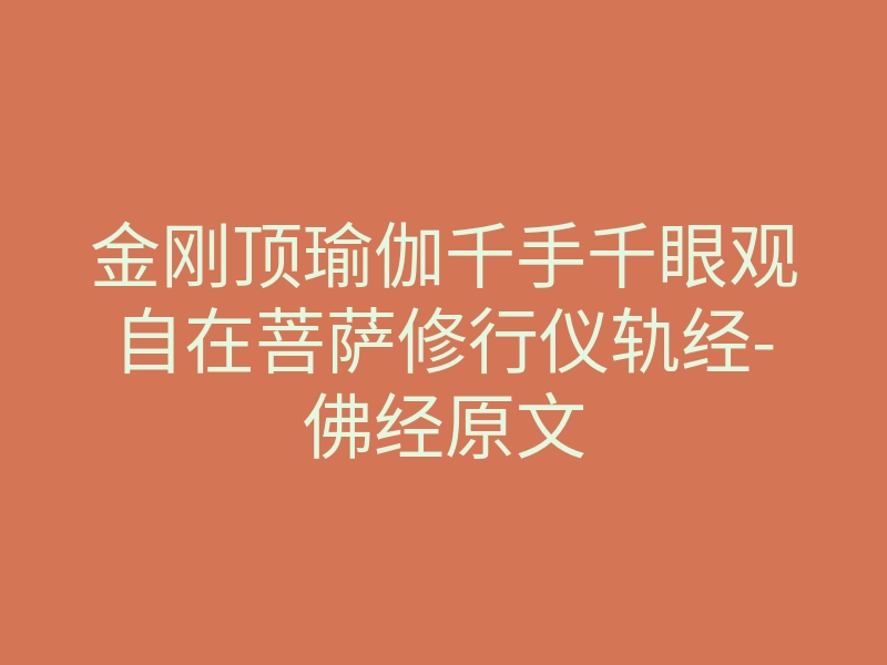 金刚顶瑜伽千手千眼观自在菩萨修行仪轨经-佛经原文