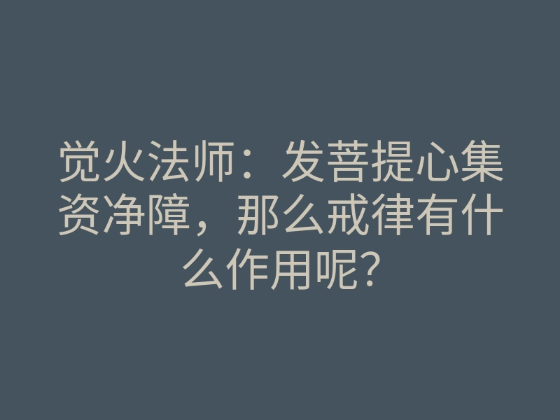 觉火法师:发菩提心集资净障,那么戒律有什么作用呢?
