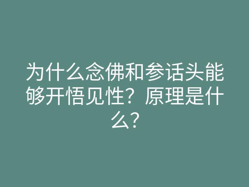 为什么念佛和参话头能够开悟见性?原理是什么?