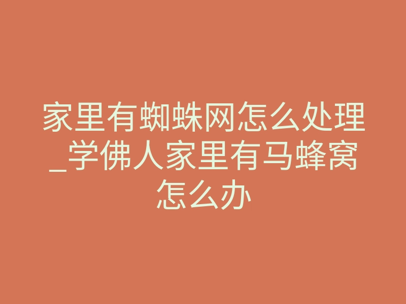 家里有蜘蛛网怎么处理_学佛人家里有马蜂窝怎么办