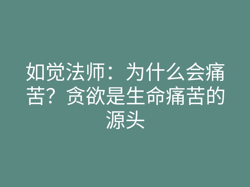 如觉法师:为什么会痛苦?贪欲是生命痛苦的源头