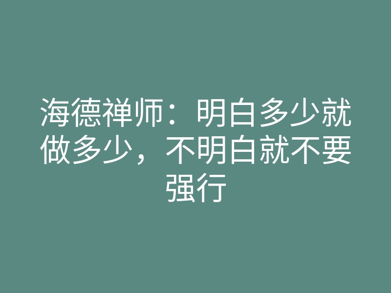 海德禅师：明白多少就做多少，不明白就不要强行