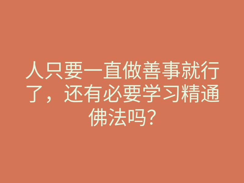 人只要一直做善事就行了,还有必要学习精通佛法吗?