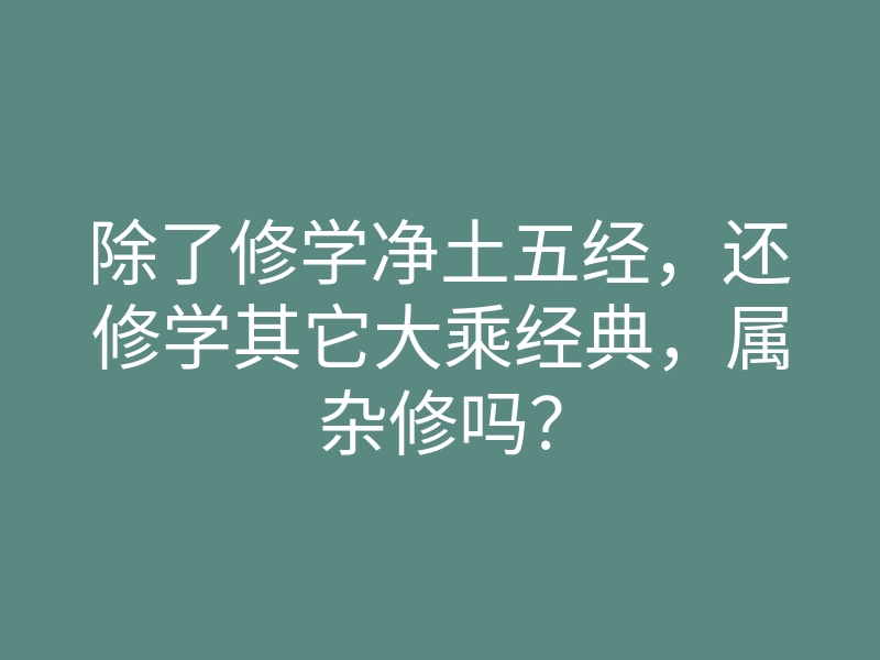 除了修学净土五经,还修学其它大乘经典,属杂修吗?
