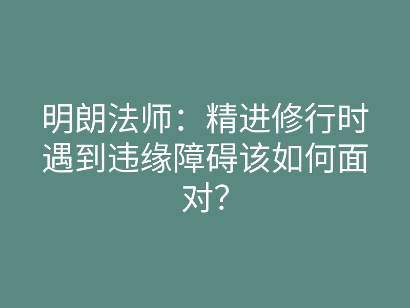 明朗法师:精进修行时遇到违缘障碍该如何面对?