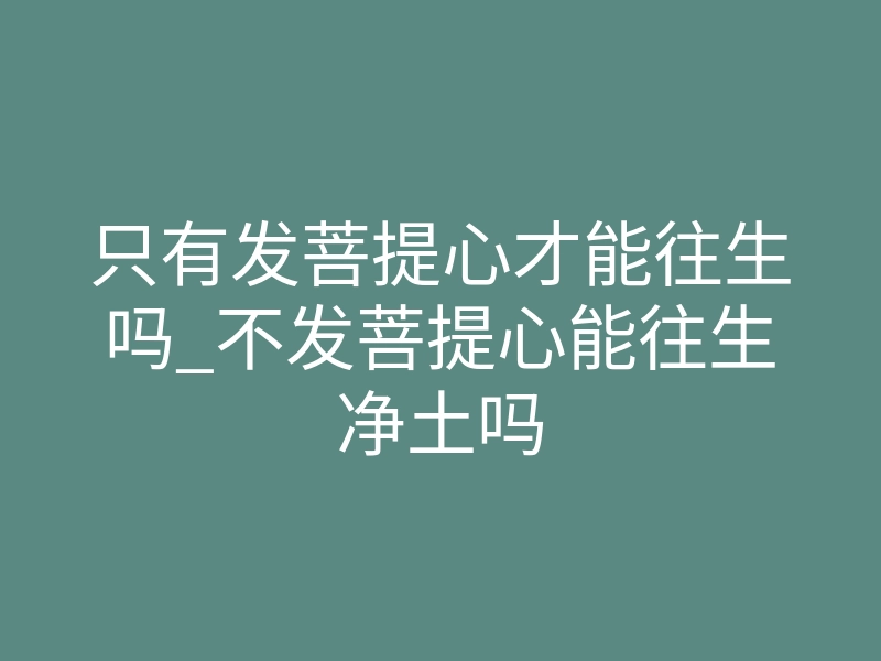 只有发菩提心才能往生吗_不发菩提心能往生净土吗
