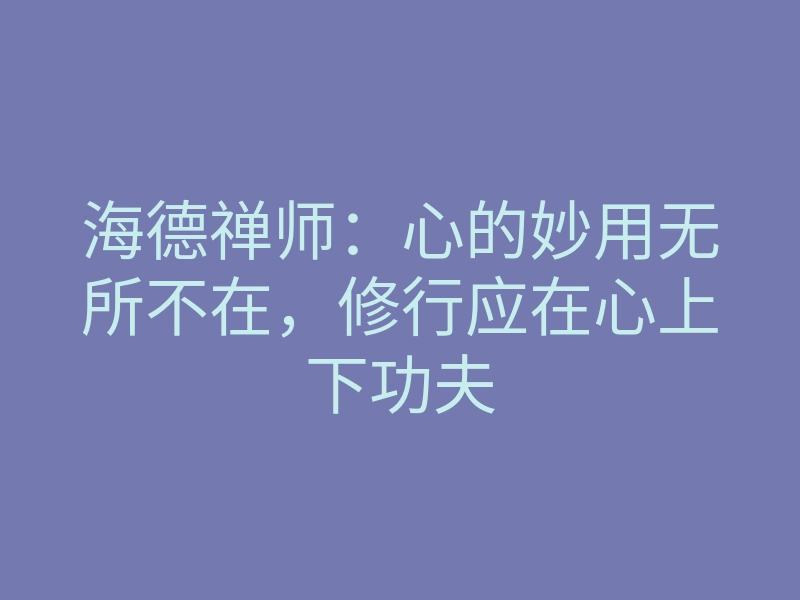 海德禅师:心的妙用无所不在,修行应在心上下功夫