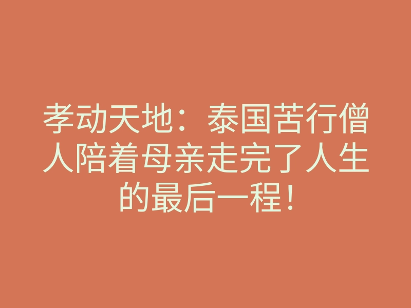 孝动天地:泰国苦行僧人陪着母亲走完了人生的最后一程!
