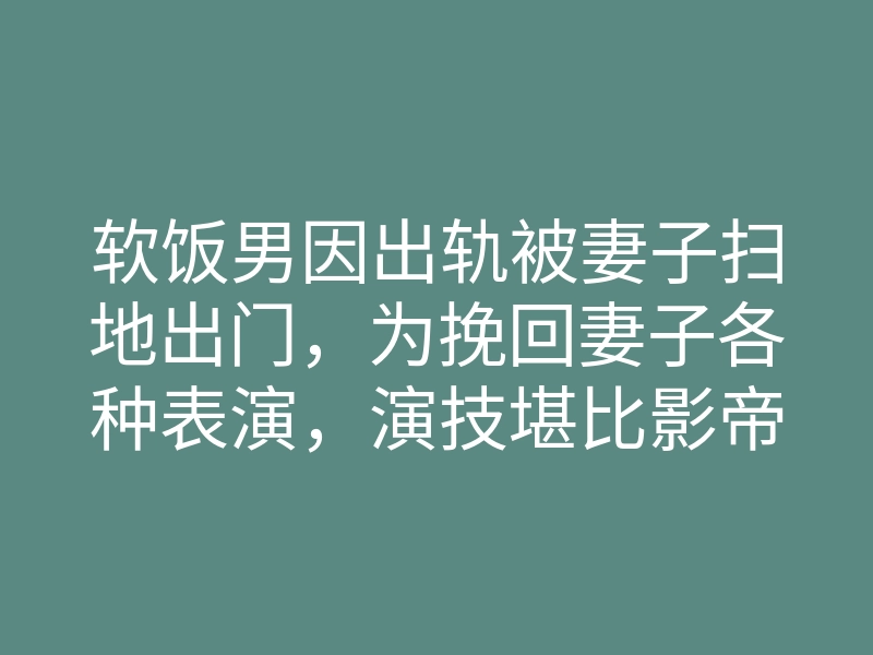 软饭男因出轨被妻子扫地出门,为挽回妻子各种表演,演技堪比影帝