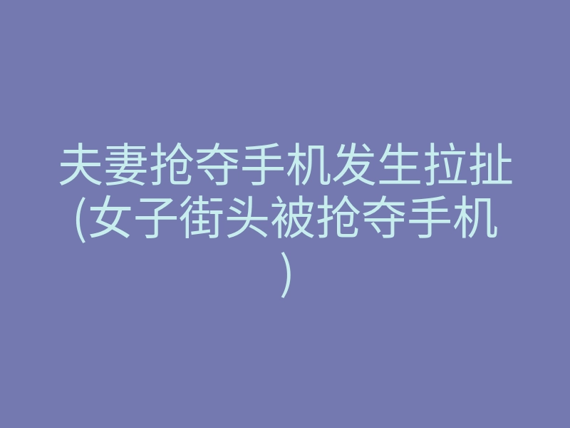 夫妻抢夺手机发生拉扯(女子街头被抢夺手机)