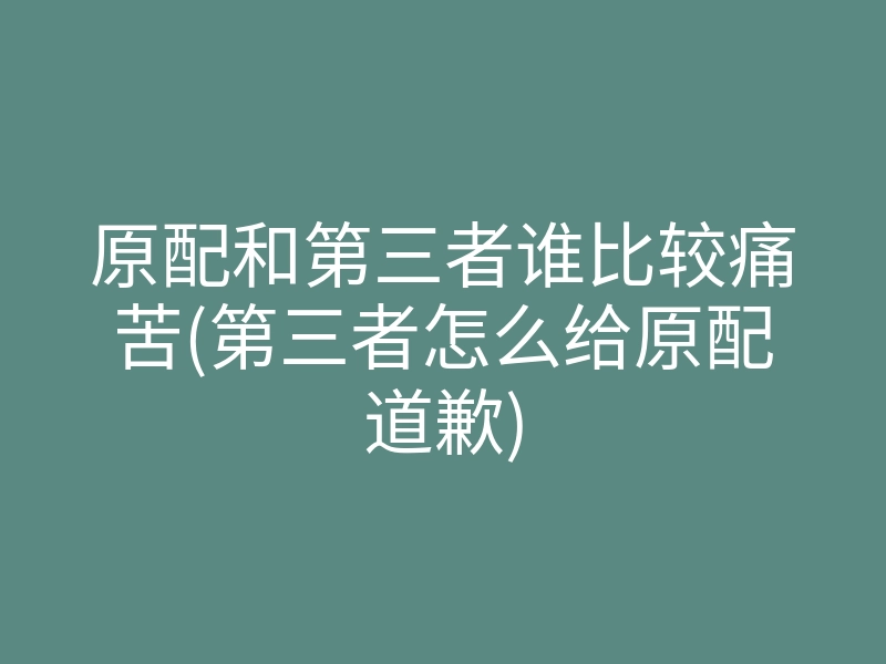 原配和第三者谁比较痛苦(第三者怎么给原配道歉)