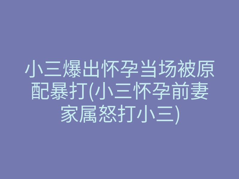 小三爆出怀孕当场被原配暴打(小三怀孕前妻家属怒打小三)