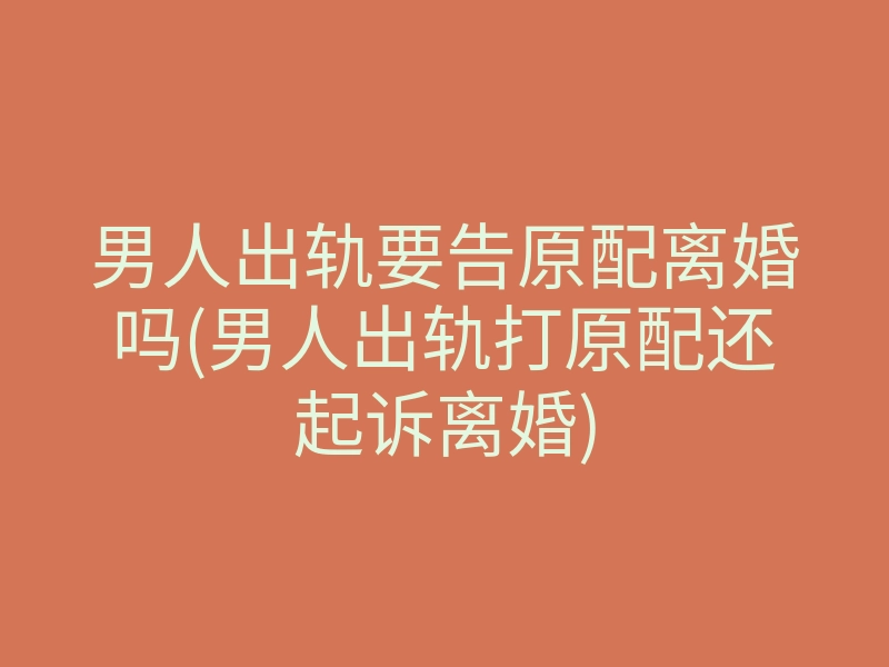 男人出轨要告原配离婚吗(男人出轨打原配还起诉离婚)