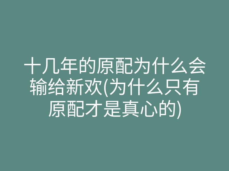 十几年的原配为什么会输给新欢(为什么只有原配才是真心的)