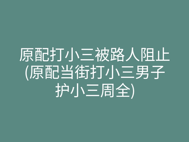 原配打小三被路人阻止(原配当街打小三男子护小三周全)