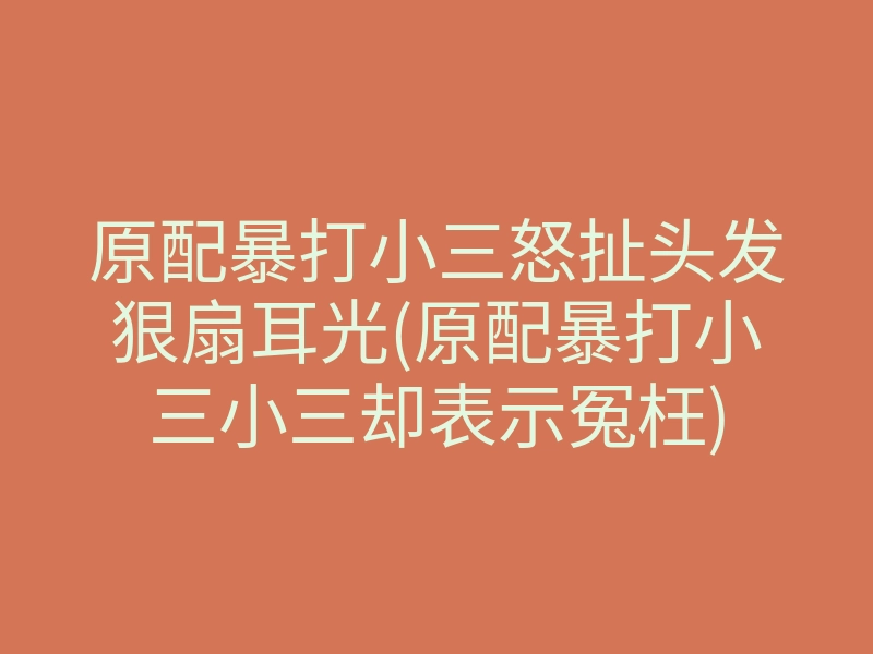 原配暴打小三怒扯头发狠扇耳光(原配暴打小三小三却表示冤枉)